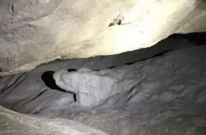 جوله داخل 