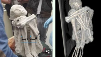 مومياوات