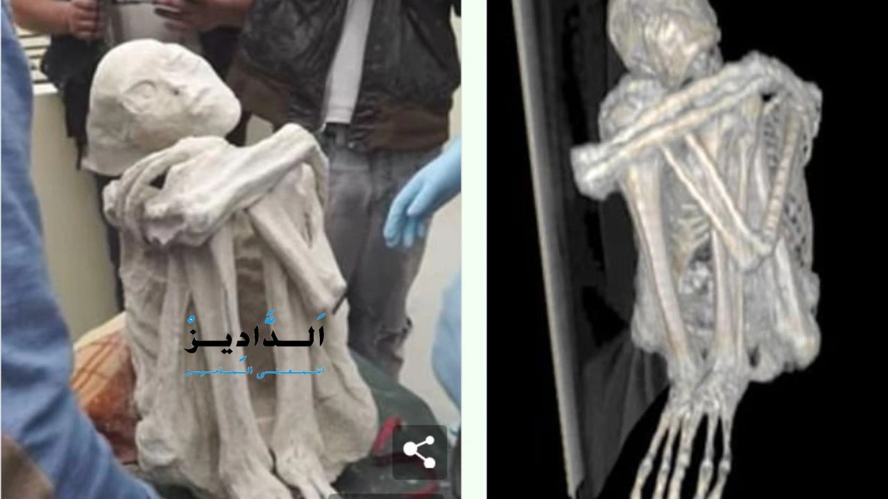 مومياوات
