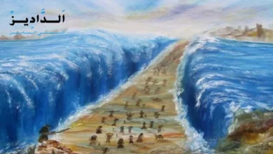 خليج العقبة