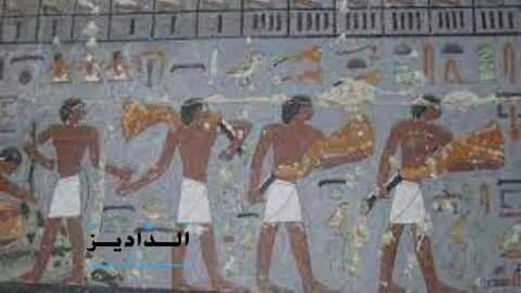 الأسرة الخامسة