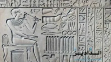 الاسرة التاسعة