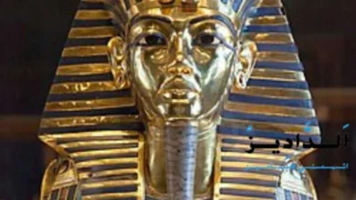 الأسرة الخامسة عشر