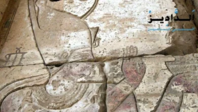 ومضات تاريخية