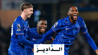 تشيلسي ضد توتنهام.. بث مباشر بجودة عالية في الدوري الإنجليزي