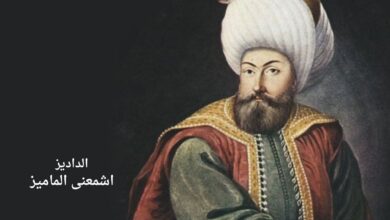 سليمان القانوني